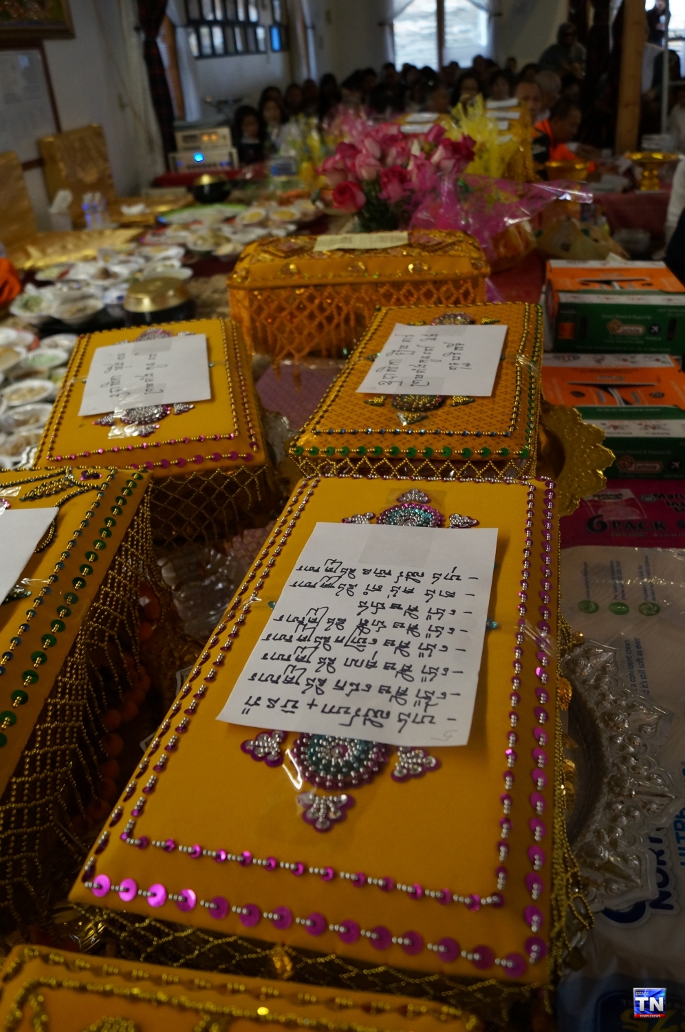 DSC06950 DSC06950
