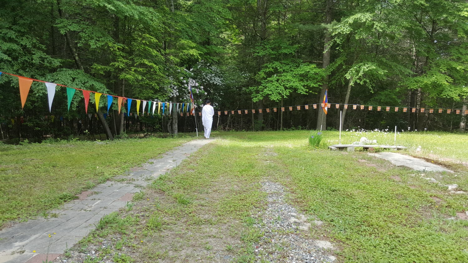 20160616_101211 20160616_101211
