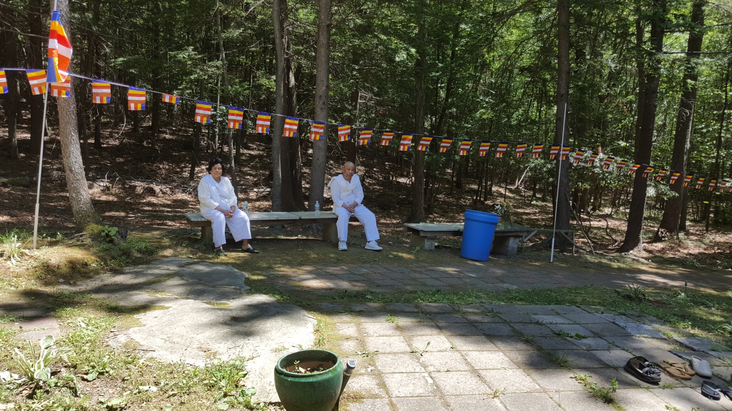 20160618_135339 20160618_135339