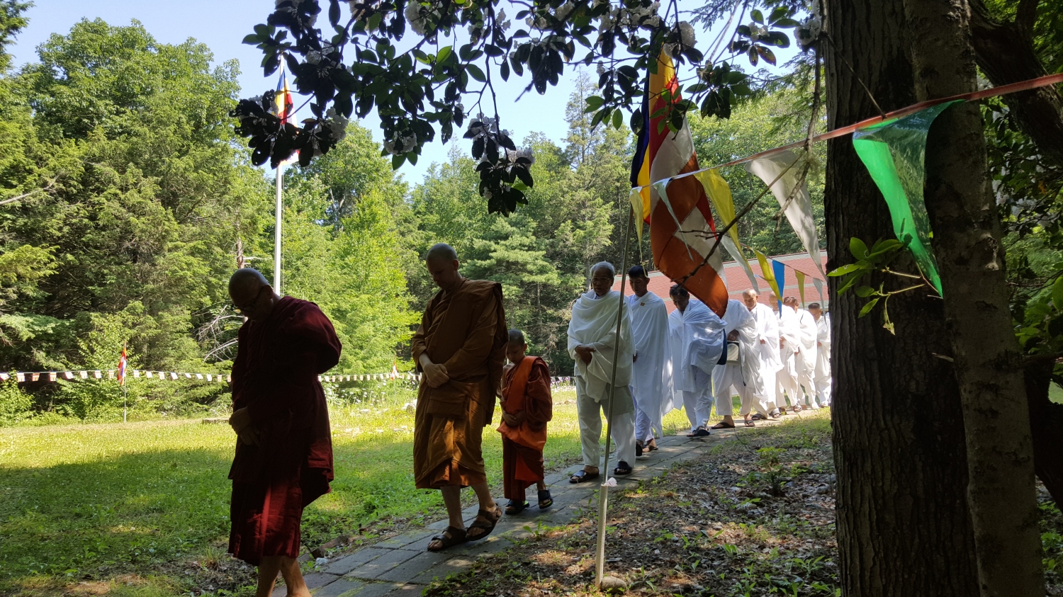 20160620_104209 20160620_104209