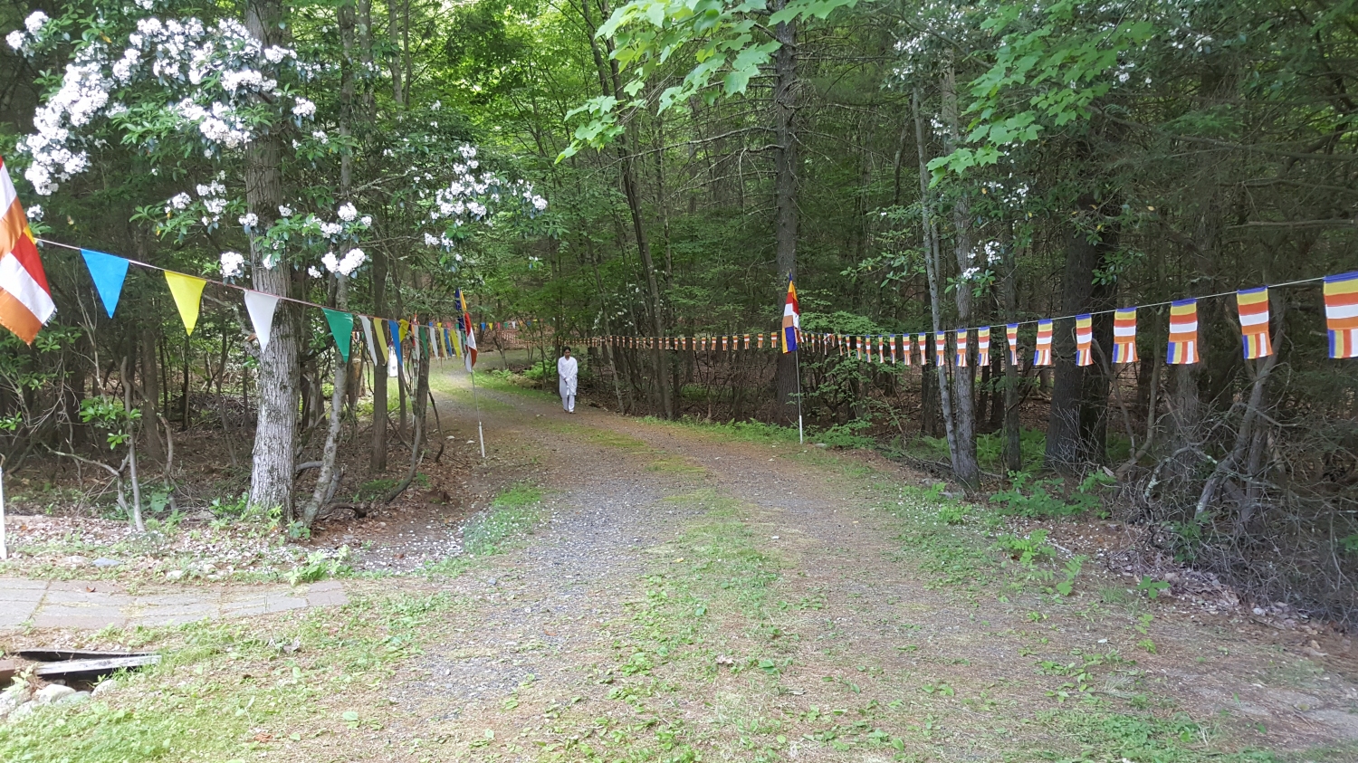 20160623_155708 20160623_155708