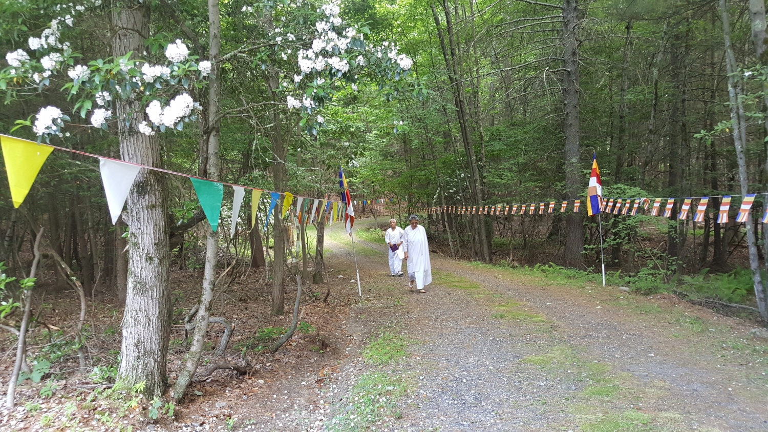20160623_155752 20160623_155752