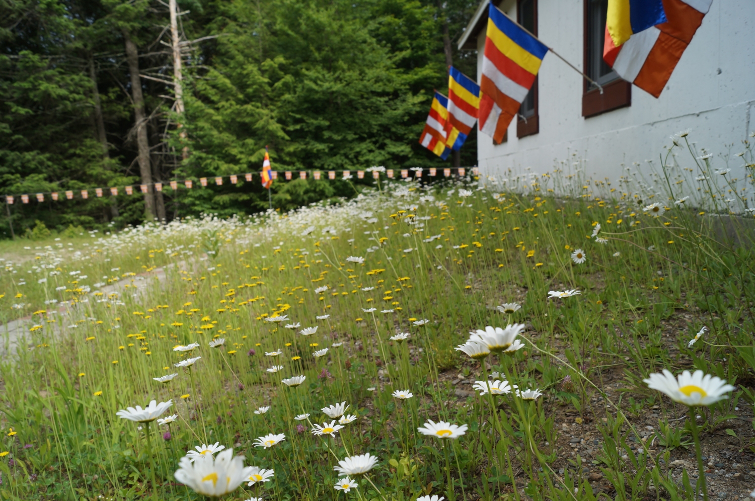 DSC08634 DSC08634