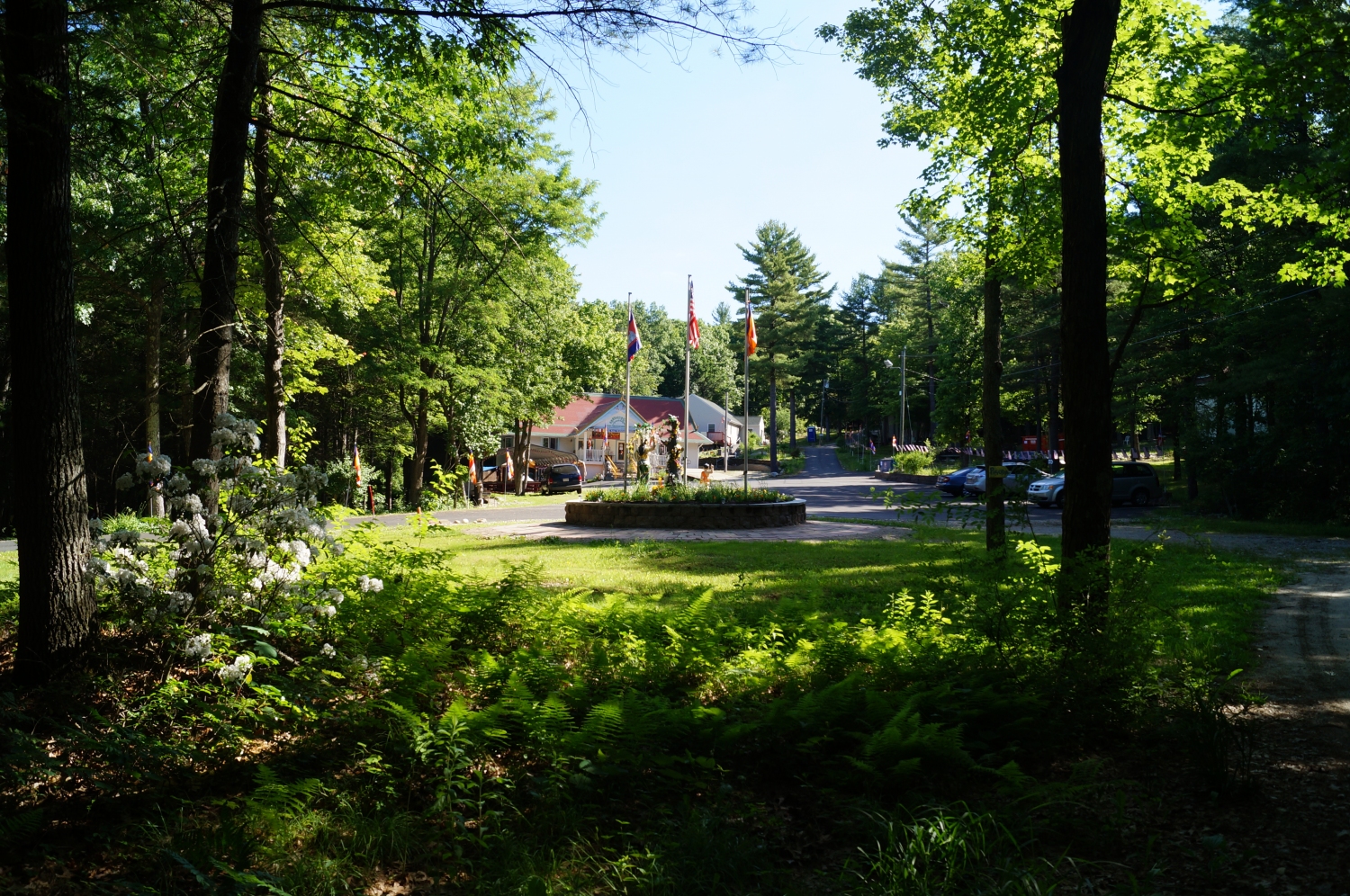 DSC08639 DSC08639