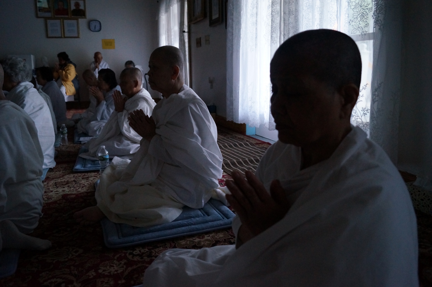 DSC08690 DSC08690