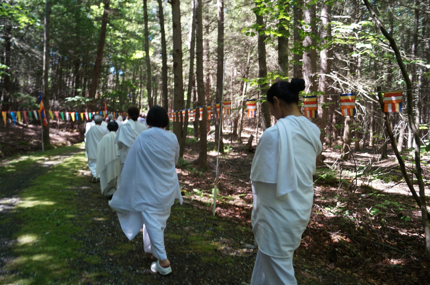 DSC08743 DSC08743