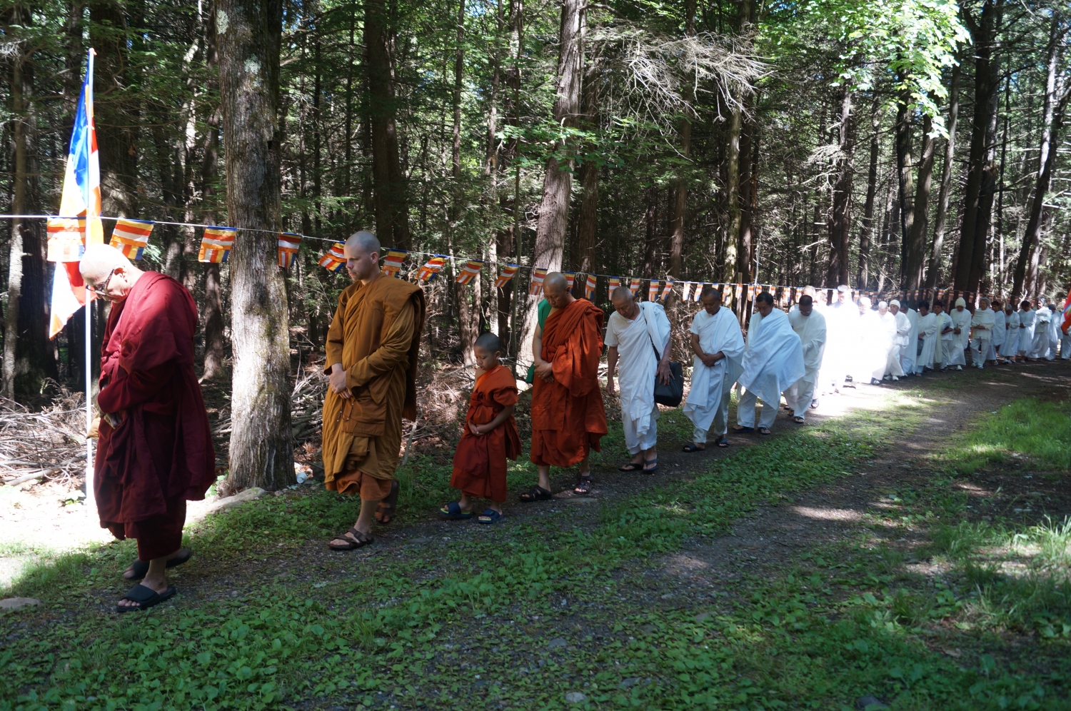 DSC08750 DSC08750