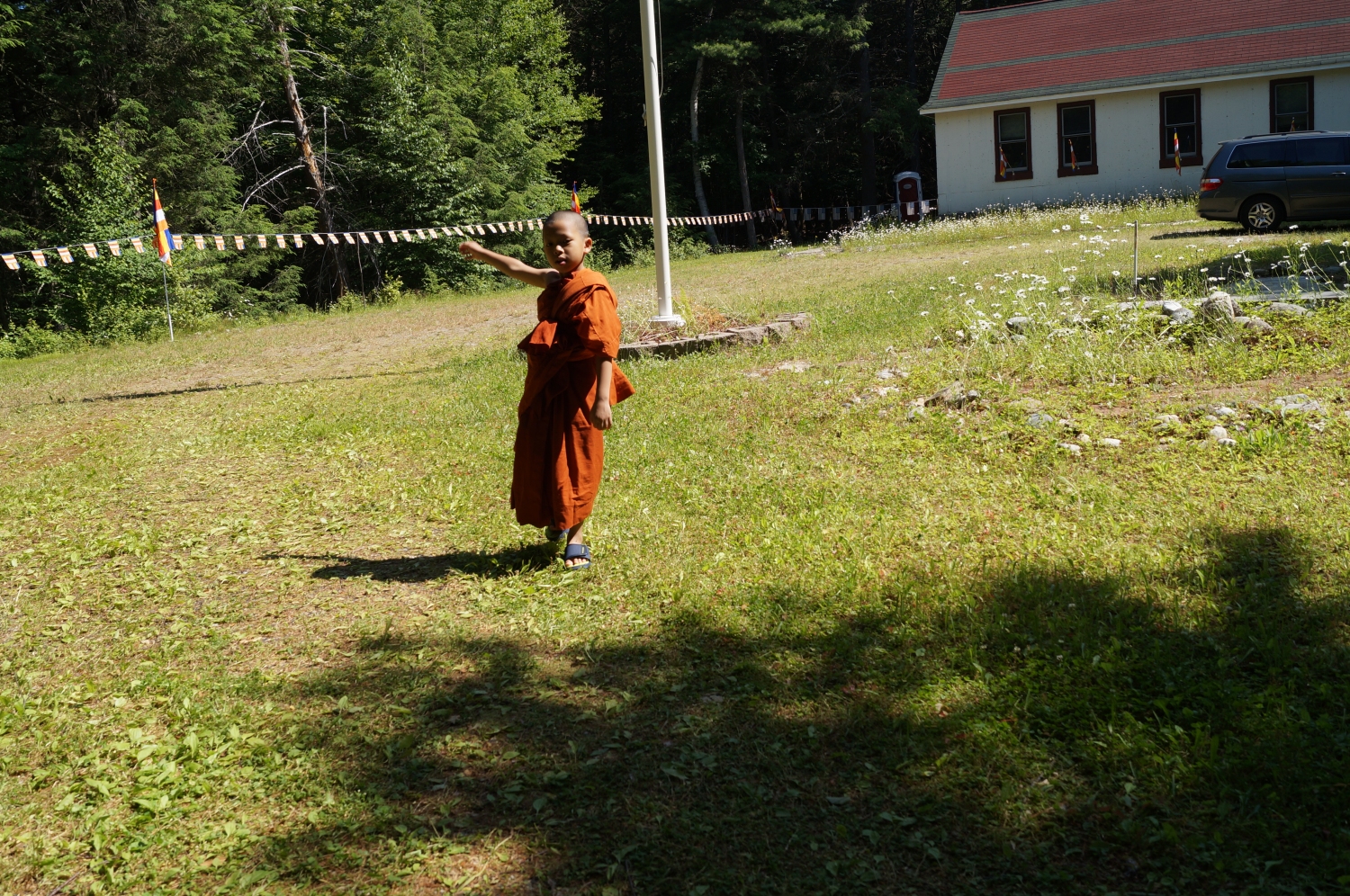 DSC08856 DSC08856