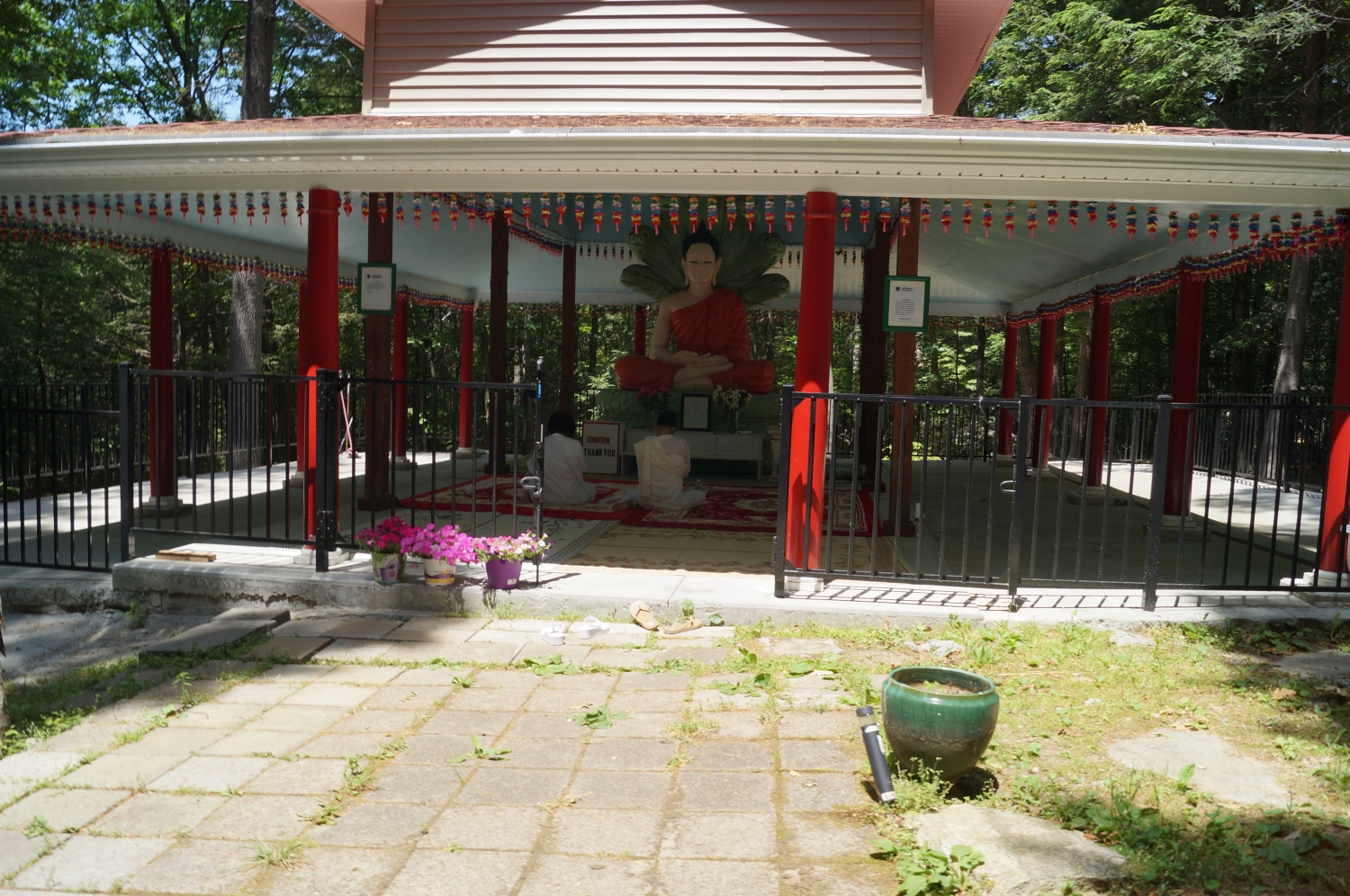 DSC09174 DSC09174