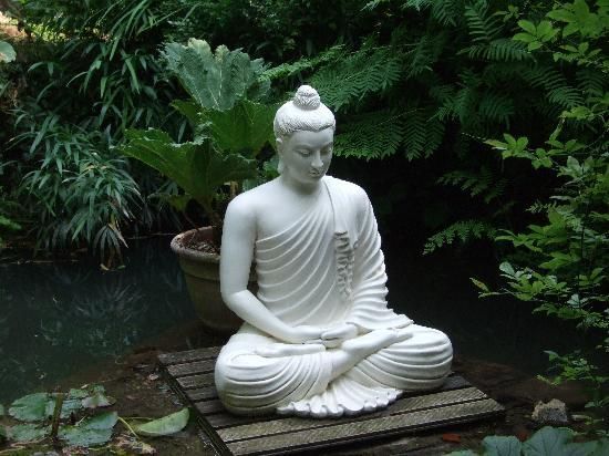 buddha-meditating