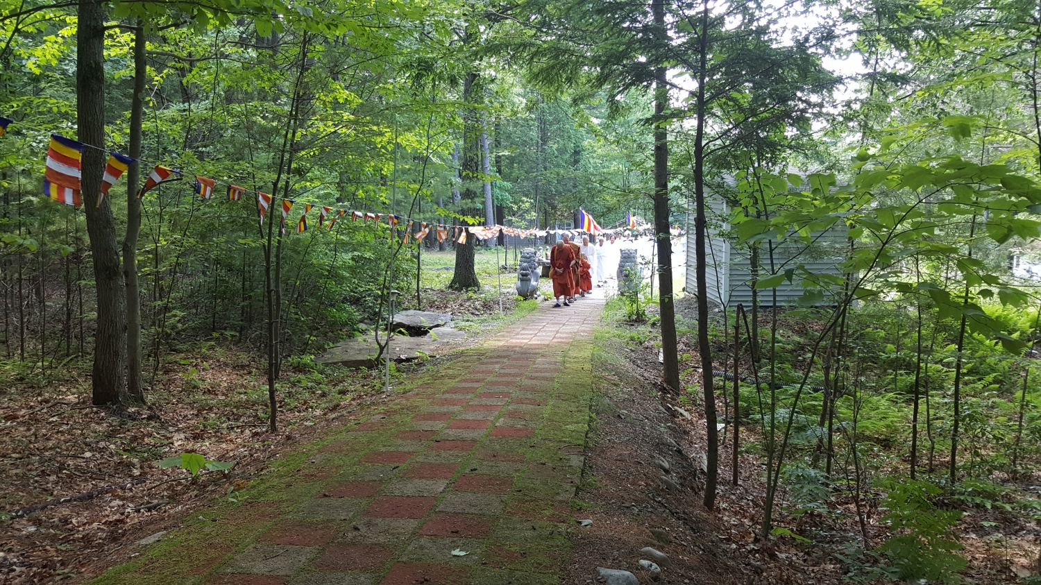 20170628_130857 20170628_130857