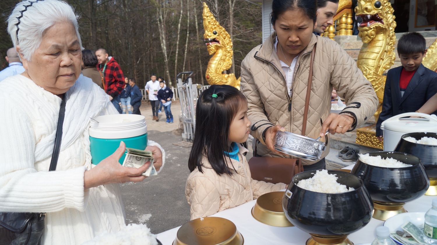 DSC01100 DSC01100