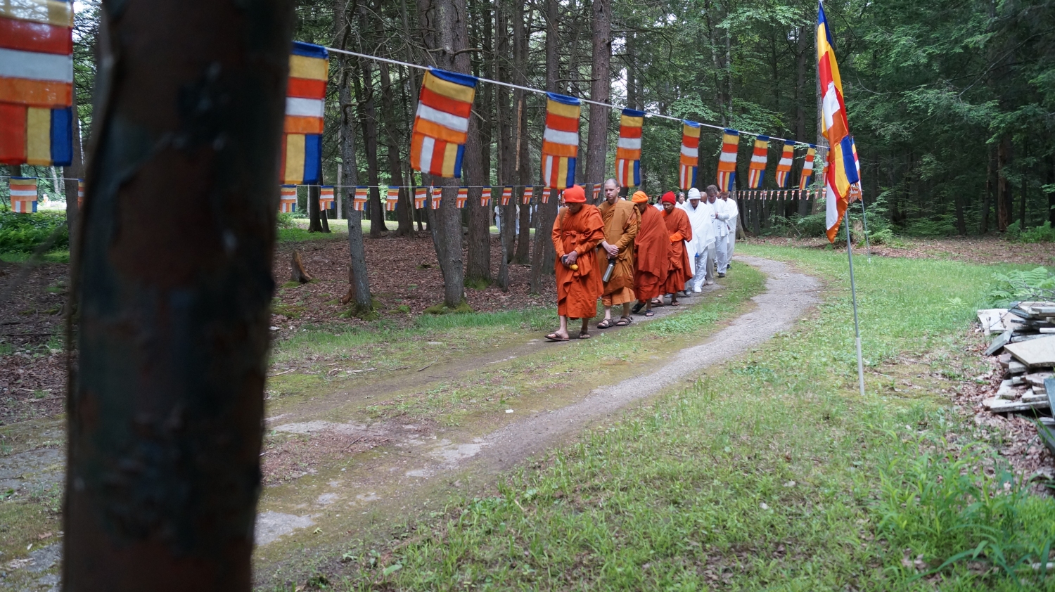 DSC01798