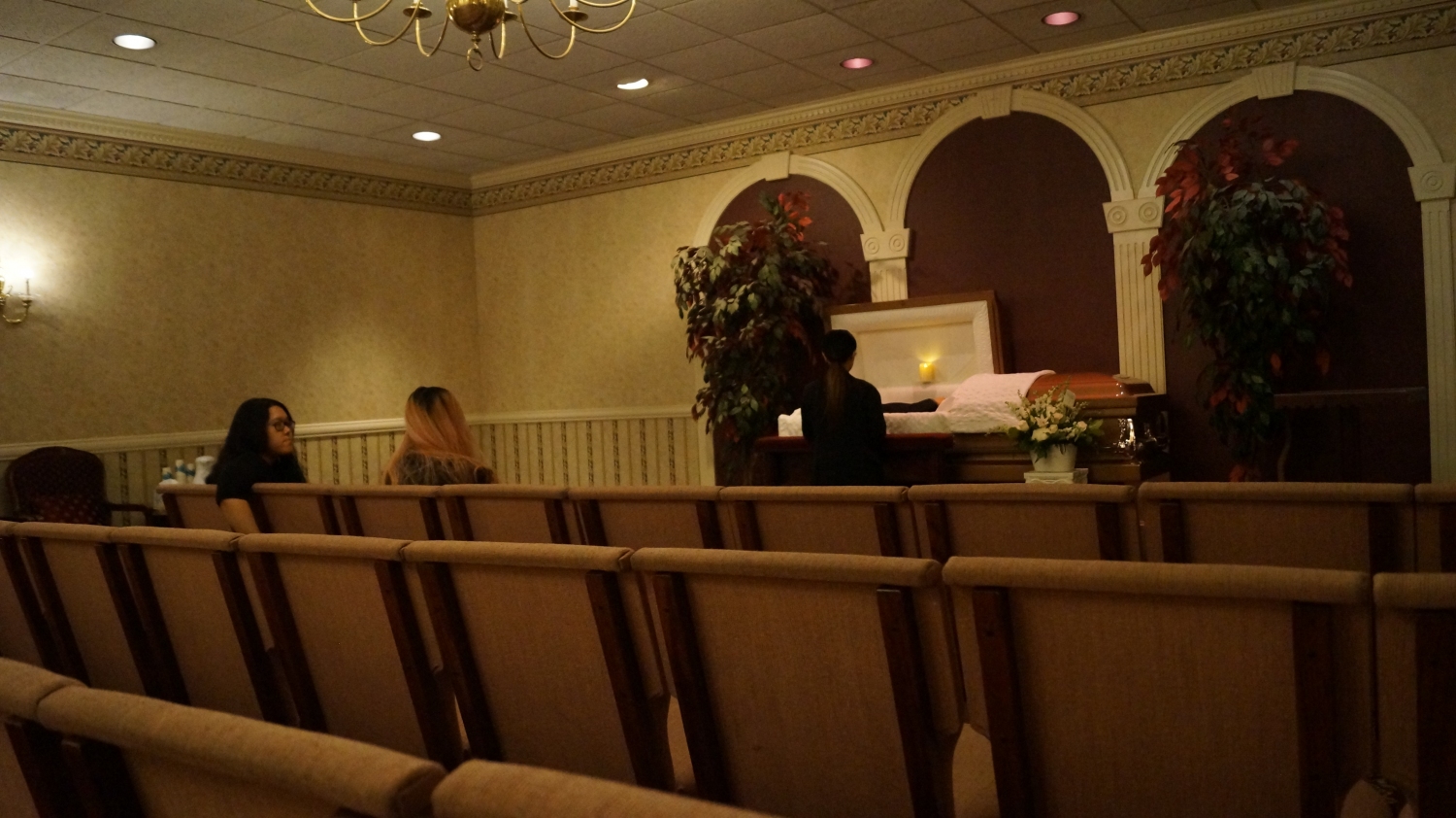 DSC02831 DSC02831