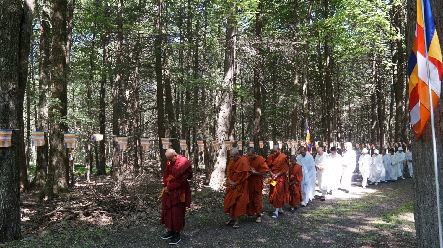 DSC07224 DSC07224