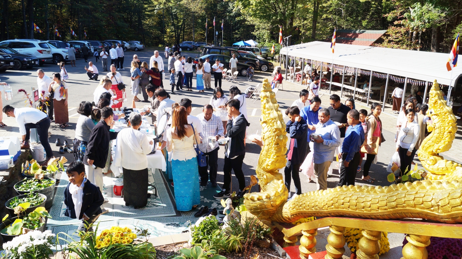 DSC03503 DSC03503