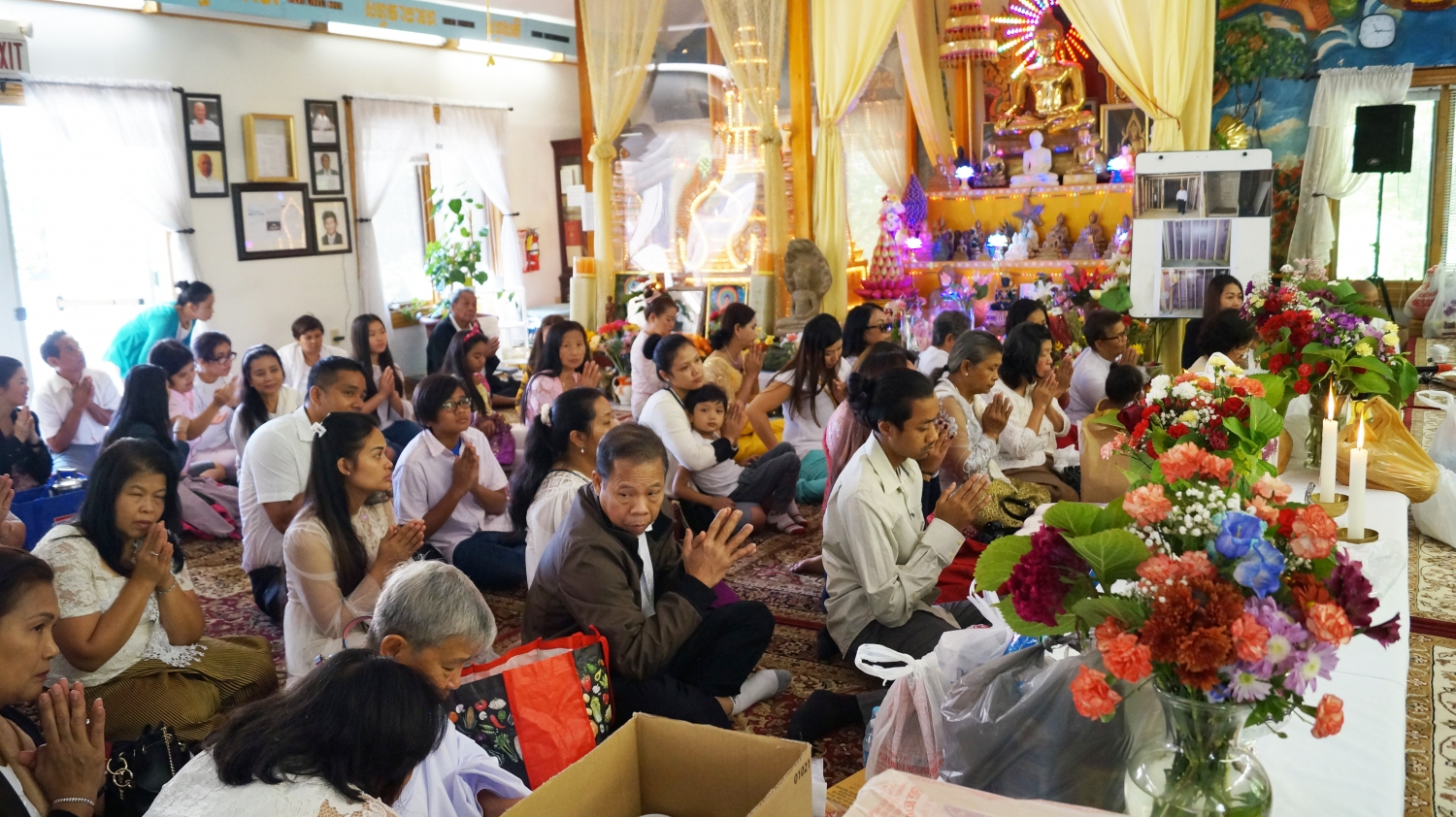 DSC03532 DSC03532