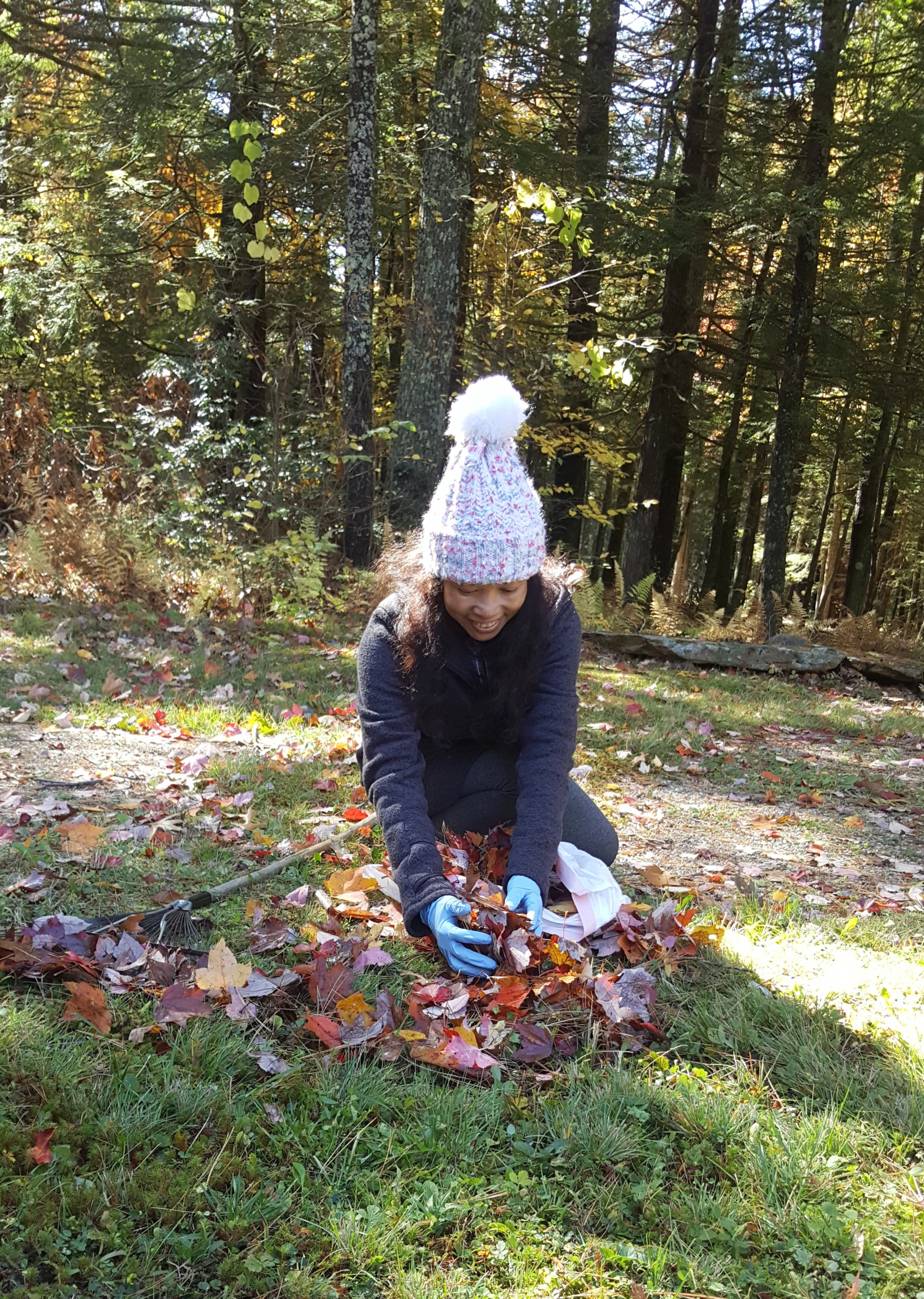 Jendhamuni picking leaves Jendhamuni picking leaves