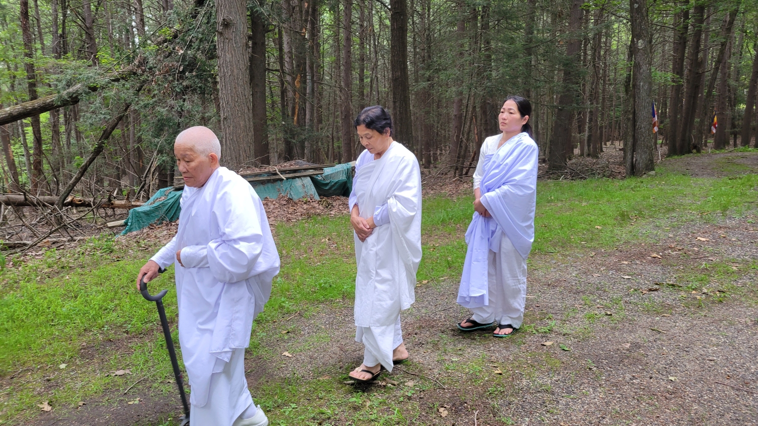20250627_172154 20250627_172154